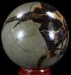 Polished Septarian Sphere - Madagascar #67840-1